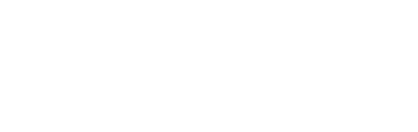 FarEye Services